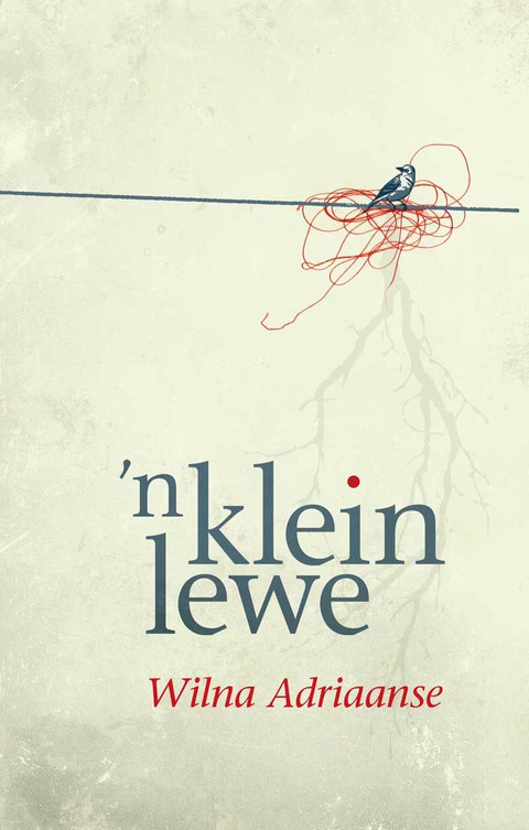 Cover image for book 'n Klein lewe