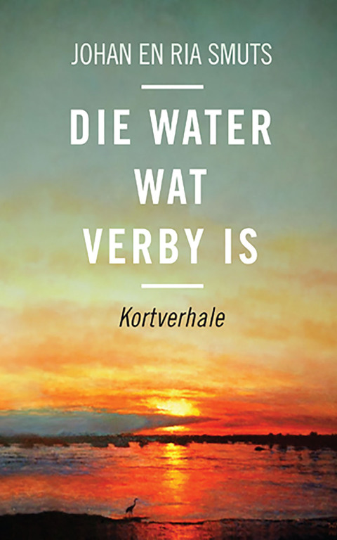Cover image for book Die water wat verby is