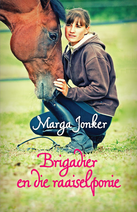 Cover image for book Brigadier en die raaiselponie
