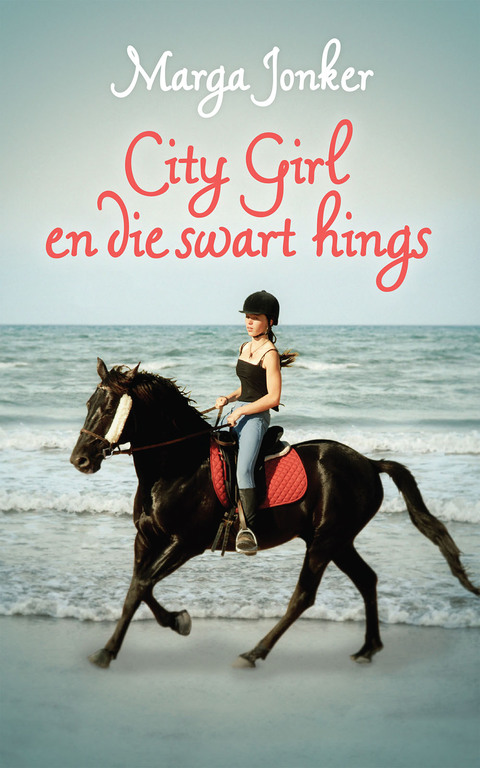 Cover image for book City Girl en die swart hings