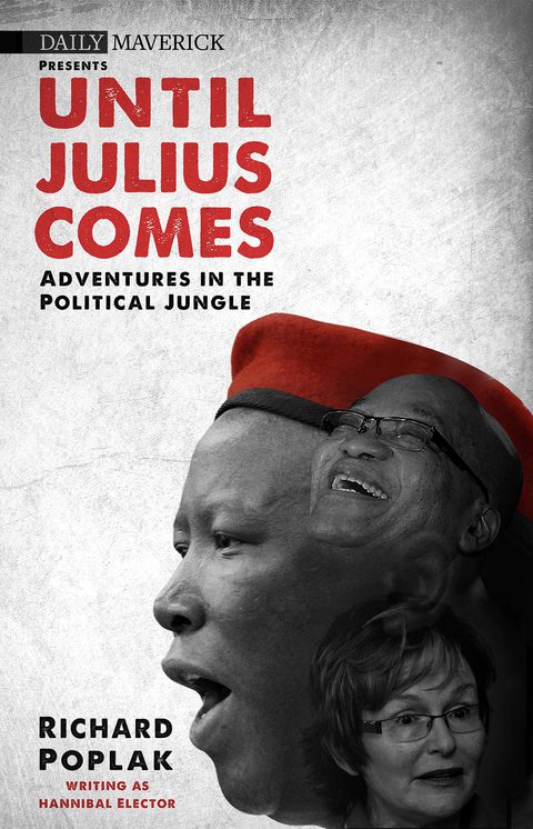 Cover image for book Until Julius Comes
