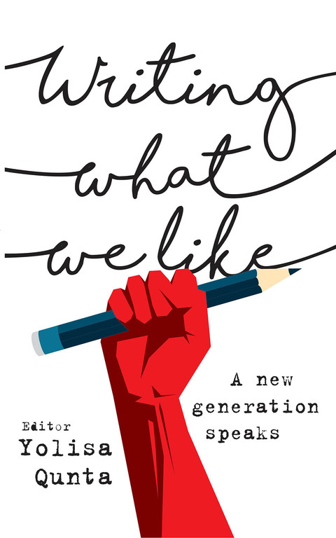 Cover image for book Writing What We Like: A New Generation Speaks