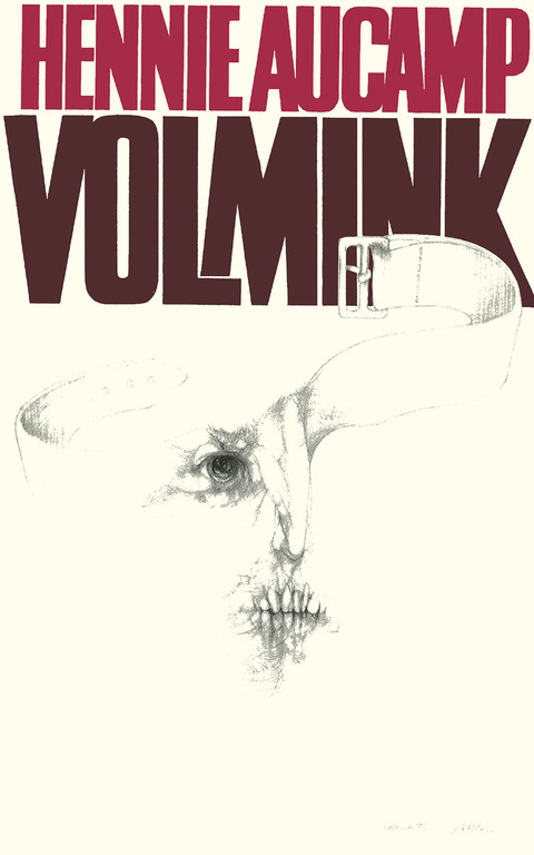 Cover image for book Volmink