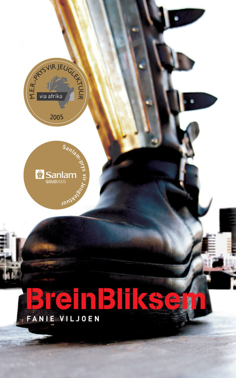 Cover image for book BreinBliksem