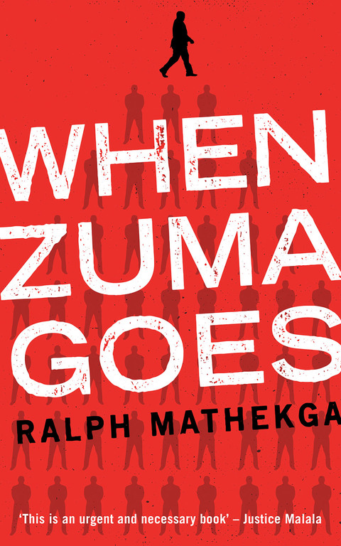 Cover image for book When Zuma goes
