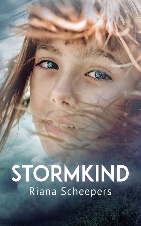 Cover image for book Stormkind