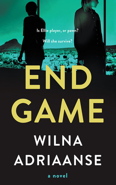 Cover image for book Endgame