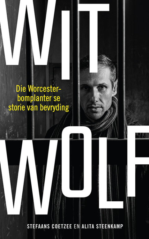 Cover image for book Wit Wolf
