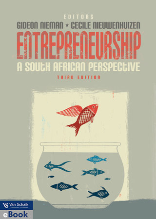 Entrepreneurship a SA Perspective