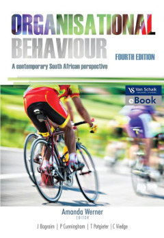 ORGANISATIONAL BEHAVIOUR A CONTEMPORARY SA PERSPECTIVE