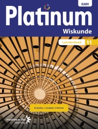 PLATINUM WISKUNDE GR 11 (LEERDERSBOEK)