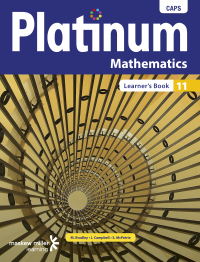 PLATINUM MATHEMATICS GR 11 (LEARNERS BOOK)