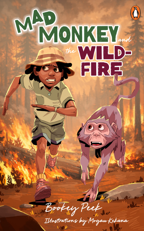 Cover image for book Mad Monkey and the Wildfire