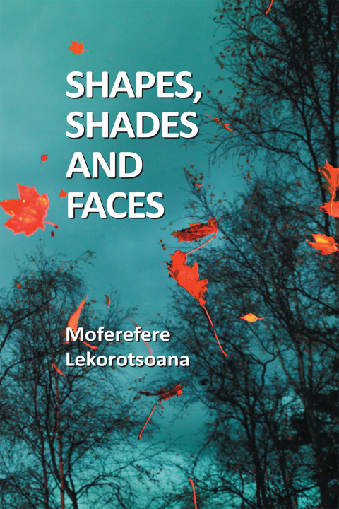 Cover image for book Shapes, Shades and Faces