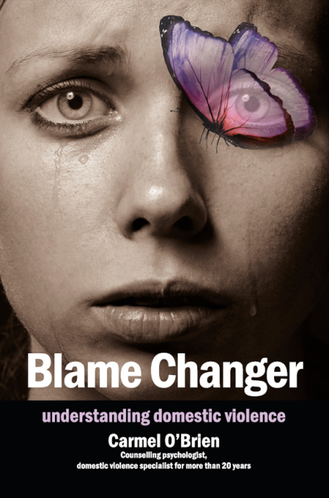 Cover image for book Blame Changer: understanding domestic violence