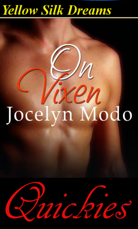 Cover image for book On Vixen