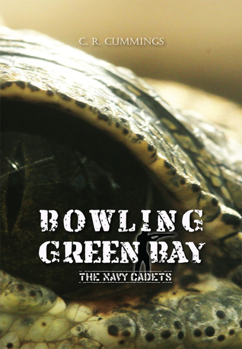 Cover image for book Bowling Green Bay