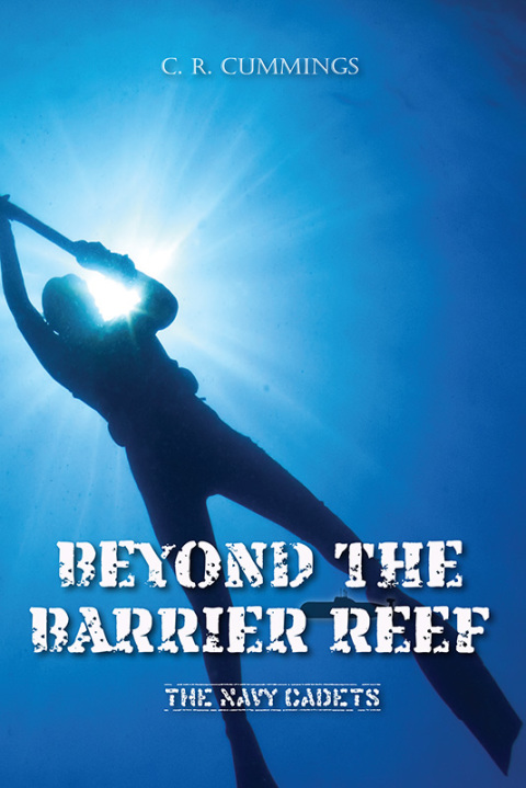 Cover image for book Beyond the Barrier Reef