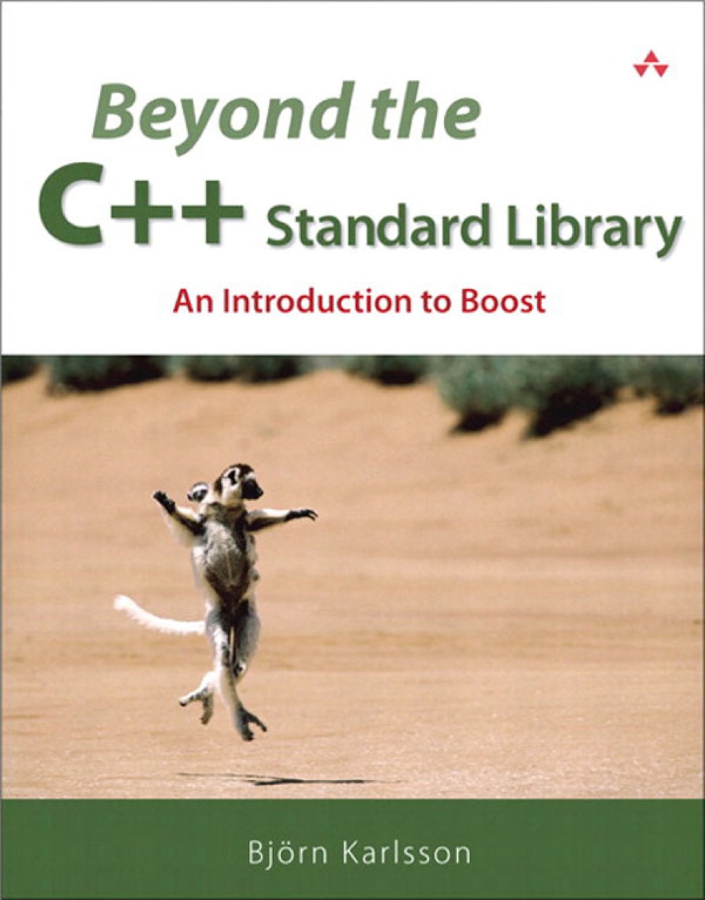 Beyond the C   Standard Library - 1st Edition (eBook)