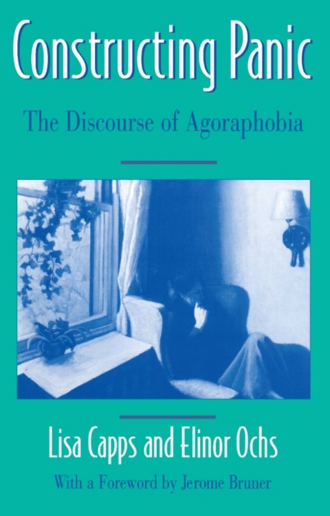 Cover image for book Constructing Panic