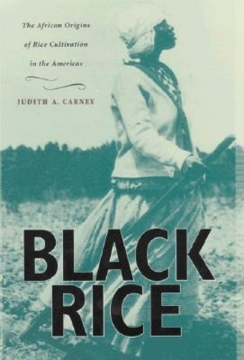 Cover image for book Black Rice