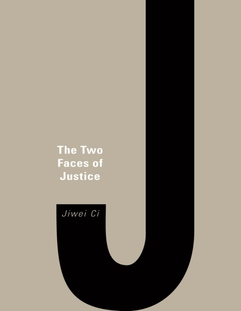 Cover image for book The Two Faces of Justice
