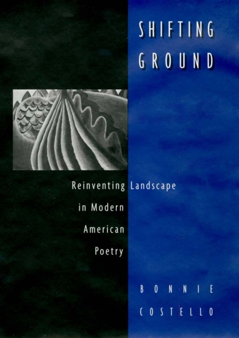 Cover image for book Shifting Ground