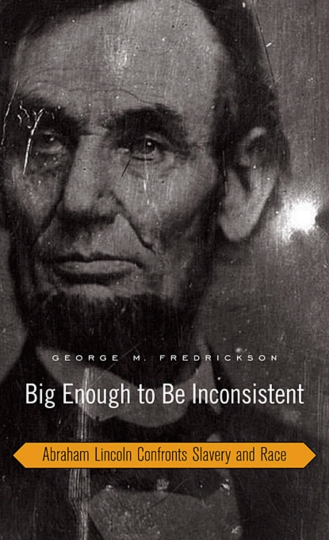 Cover image for book Big Enough to Be Inconsistent