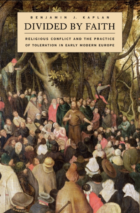 Cover image for book Divided by Faith