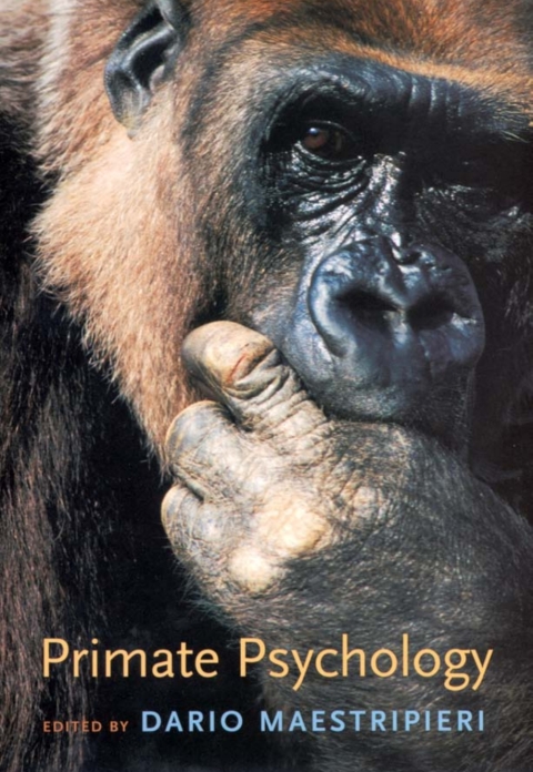 Cover image for book Primate Psychology