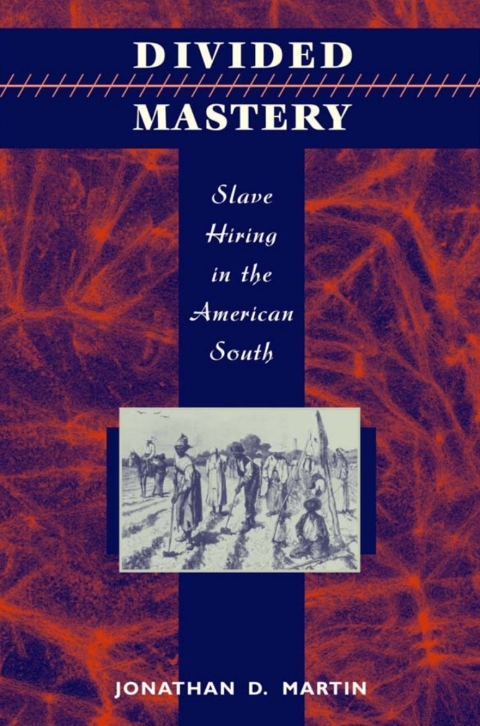 Cover image for book Divided Mastery
