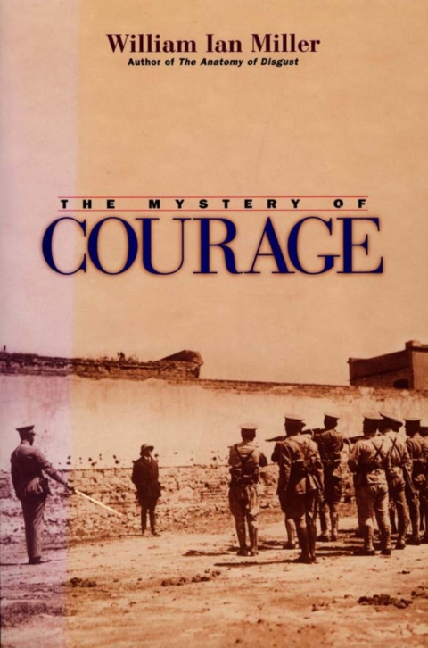 Cover image for book The Mystery of Courage