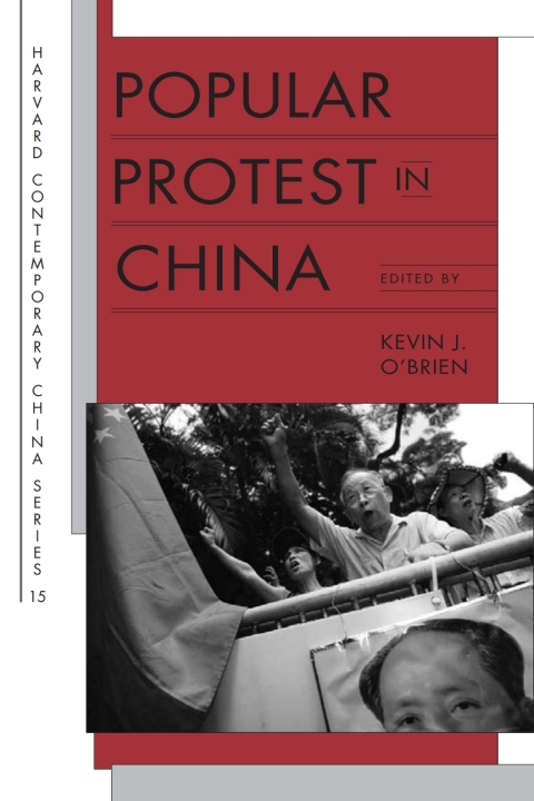Cover image for book Popular Protest in China