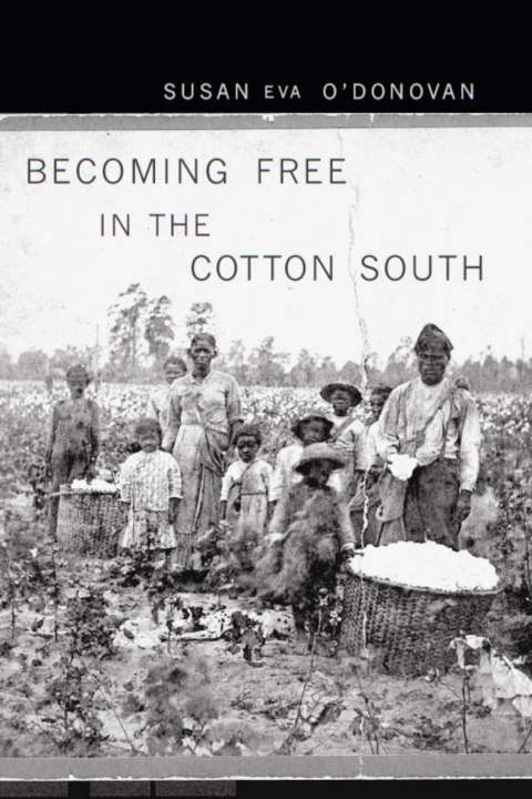Cover image for book Becoming Free in the Cotton South