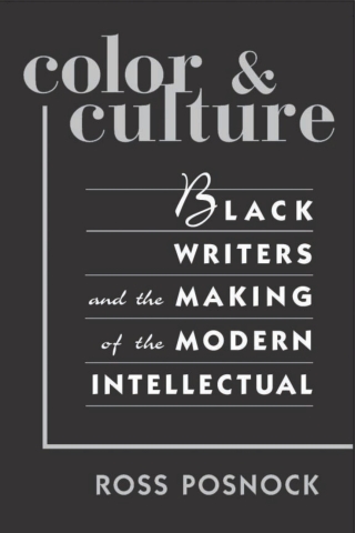 Color and Culture