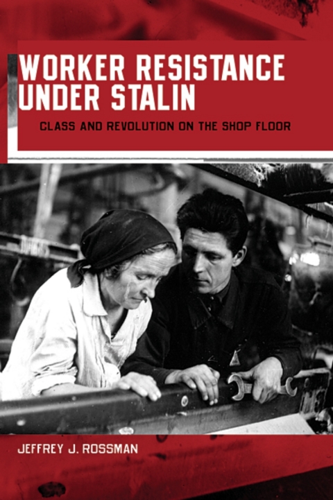Cover image for book Worker Resistance under Stalin