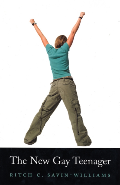 Cover image for book The New Gay Teenager
