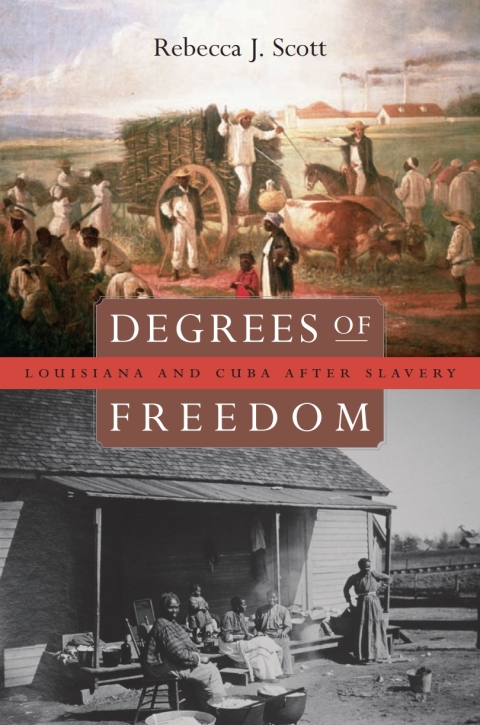 Cover image for book Degrees of Freedom