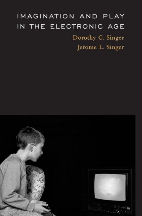 Cover image for book Imagination and Play in the Electronic Age