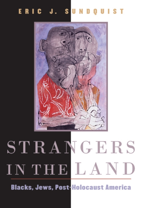 Cover image for book Strangers in the Land