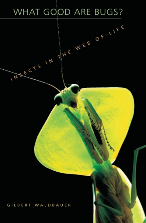 Cover image for book What Good Are Bugs?