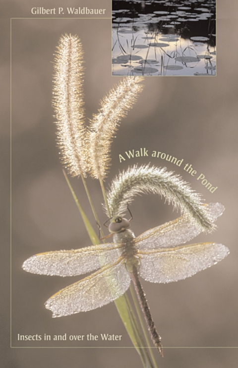 Cover image for book A Walk around the Pond