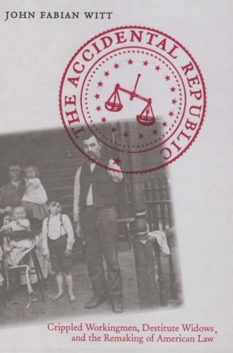 Cover image for book The Accidental Republic