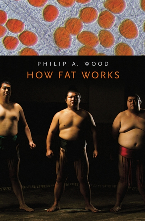 Cover image for book How Fat Works