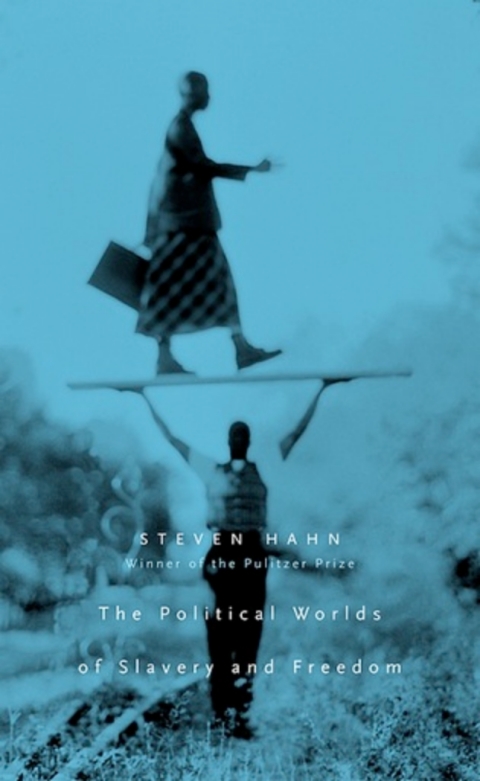 Cover image for book The Political Worlds of Slavery and Freedom