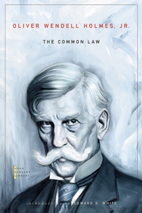 Cover image for book The Common Law