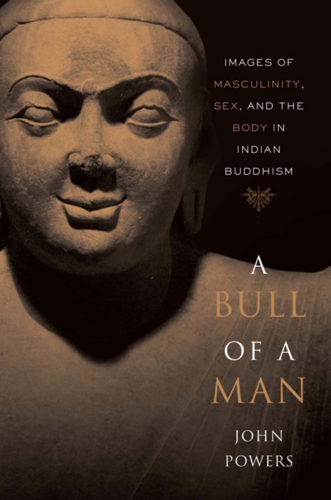 Cover image for book A Bull of a Man