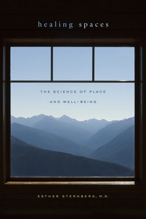 Cover image for book Healing Spaces