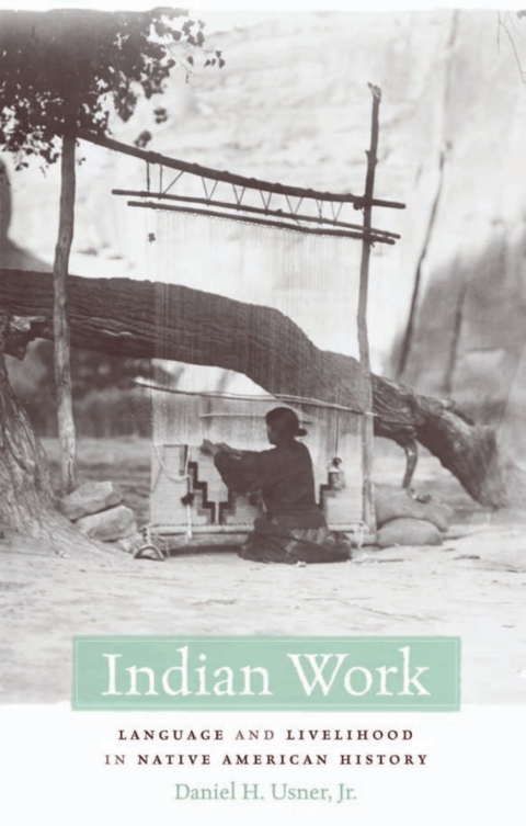 Cover image for book Indian Work