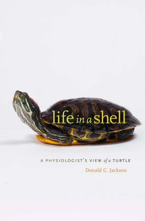 Cover image for book Life in a Shell